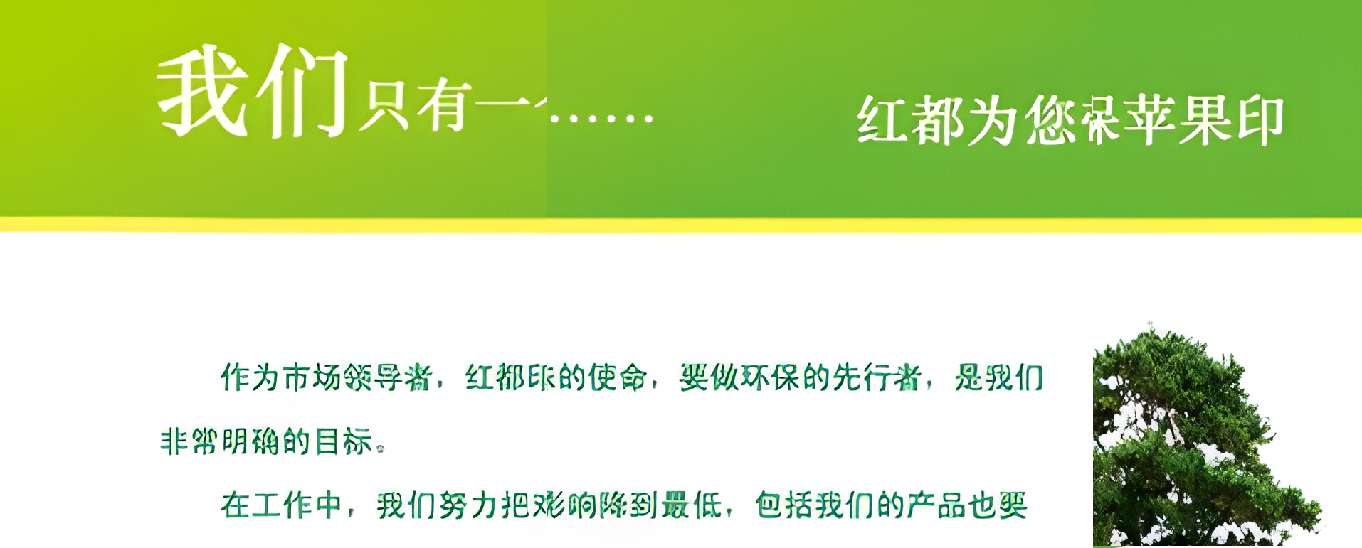 进口光敏印章产品图 4
